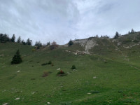 Colline à la Molière